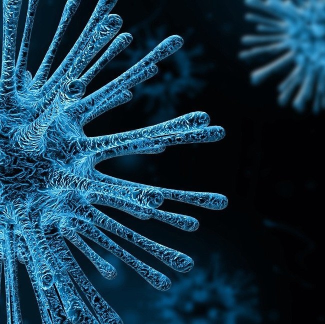 Coronavirus